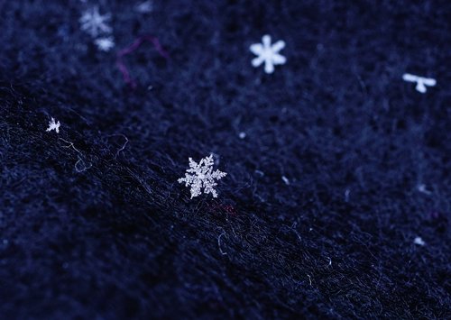 snowflake  flake  ice crystal