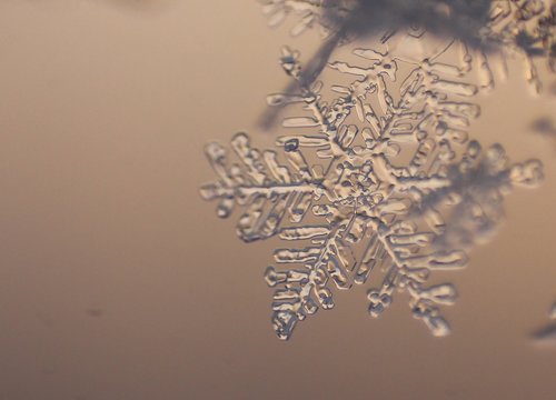 snowflake  finland  winter