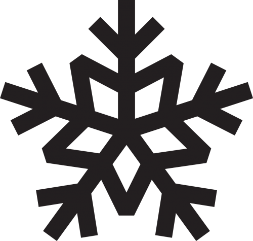 snowflake crystal snow crystal