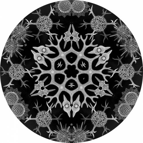 Snowflake Circle II
