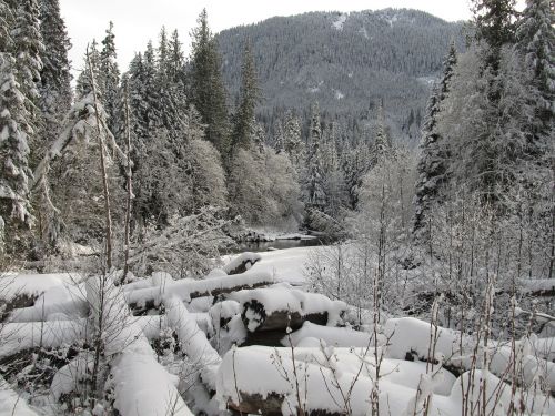 snowscape winter winter creek