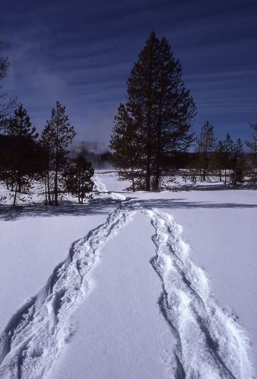 snowshoe winter landscape