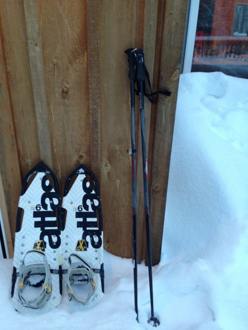 snowshoes snow winter