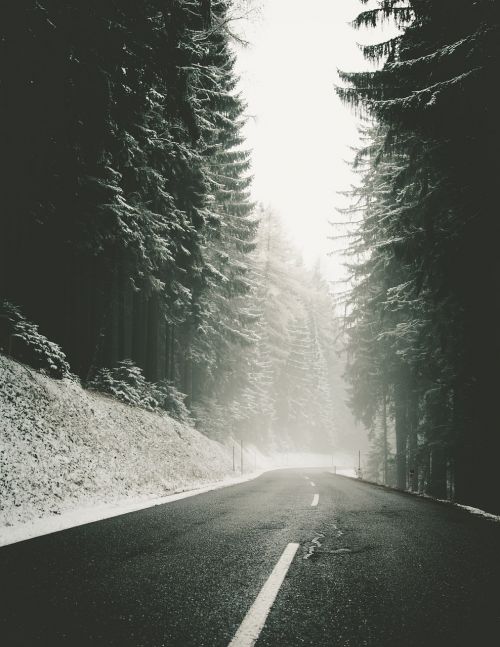snowy roadway road