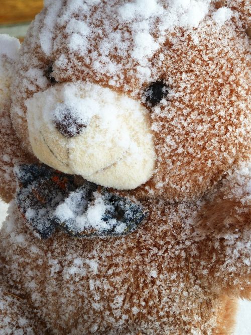 snowy teddy bear fabric