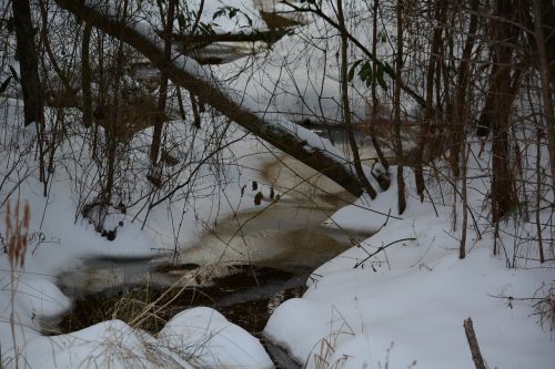 snowy creek frozen