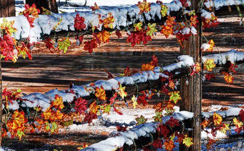 Snowy Autumn Wooden Fence