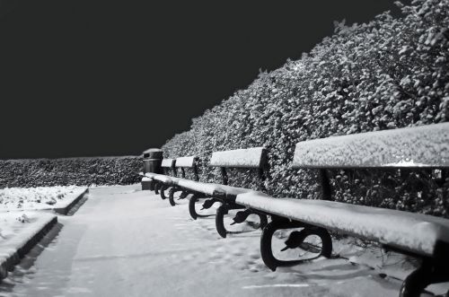 Snowy Benches At Night