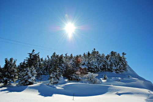 snowy landscape snow winter