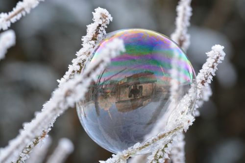 soap bubble winter snow