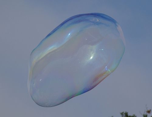 soap bubble blubber large