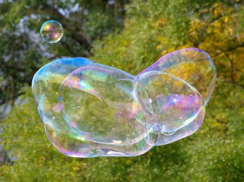 soap bubble blubber large