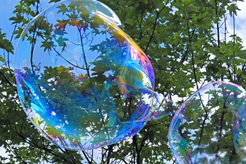 soap bubble dreams dream