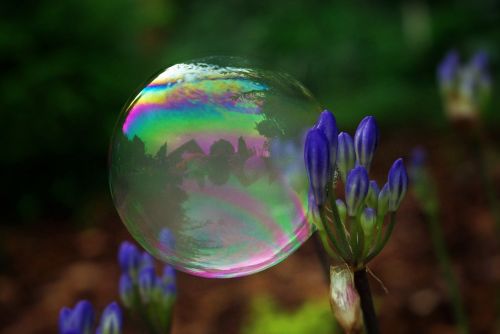 soap bubble bubble ball
