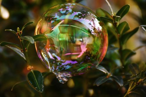 soap bubble colorful buxbaum