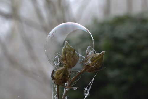 soap bubble pattern structure