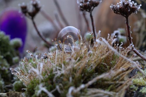 soap bubble pattern structure