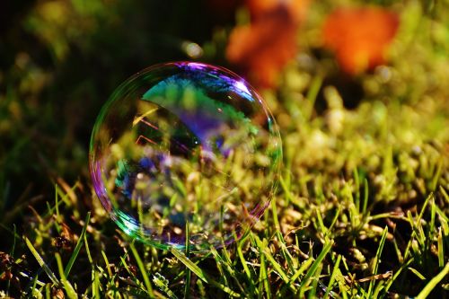 soap bubble colorful meadow