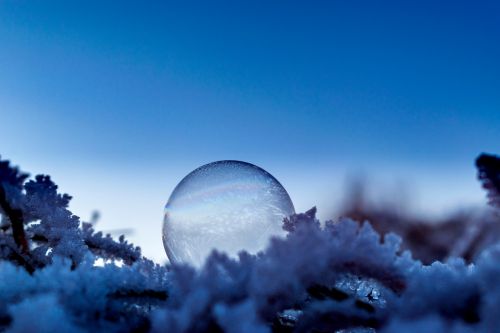 soap bubble seifenblase frozen ice