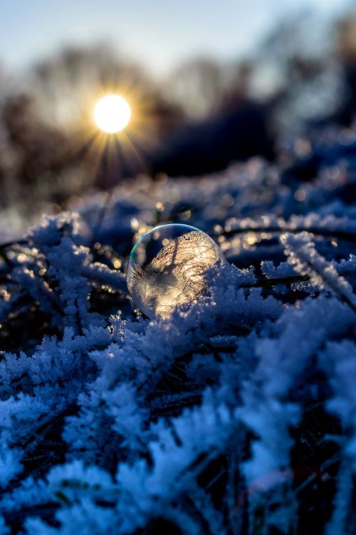 soap bubble seifenblase frozen ice