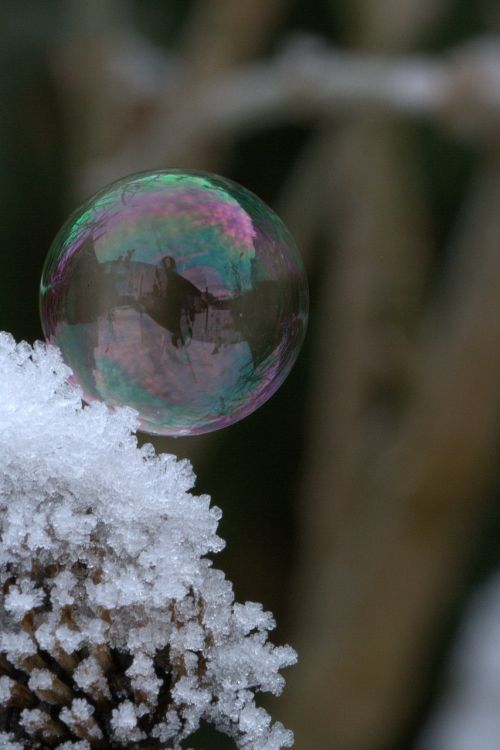 soap bubble snow frost