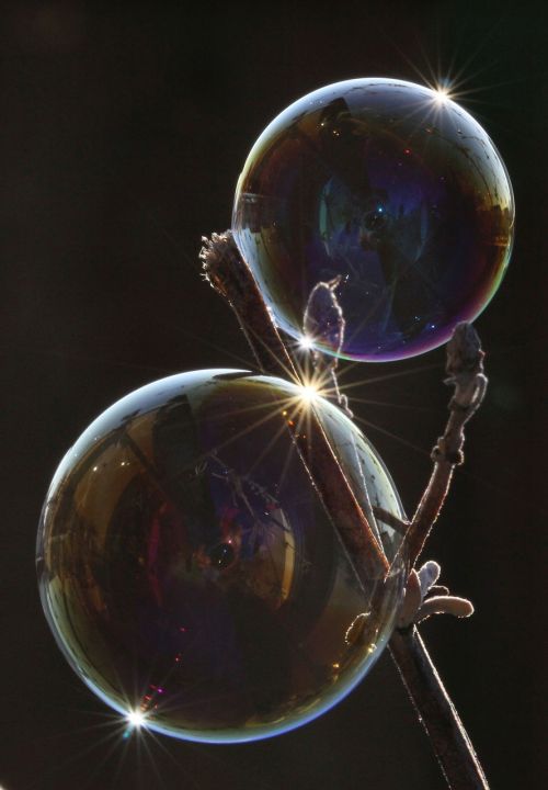 soap bubble light reflection