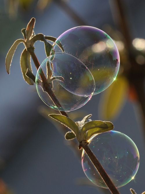 soap bubble light ease