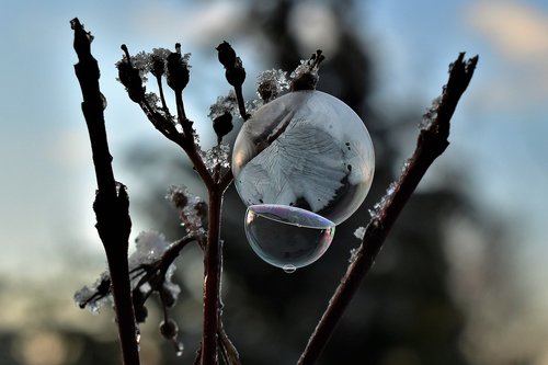 soap bubble  frozen  eiskristalle
