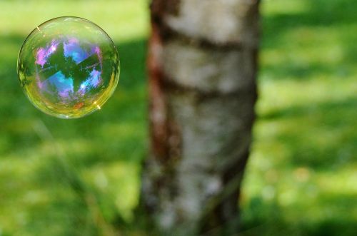 soap bubble colorful ball