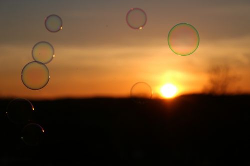 soap bubbles sunset evening light