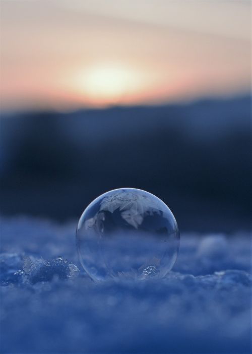 soap bubbles frozen frozen bubble