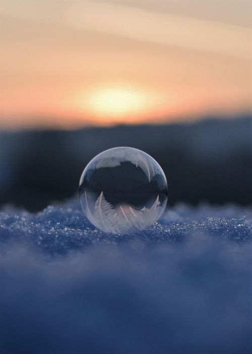 soap bubbles frozen frozen bubble