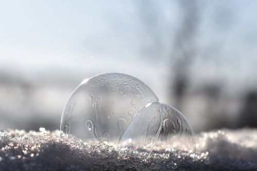 soap bubbles frozen frozen bubble