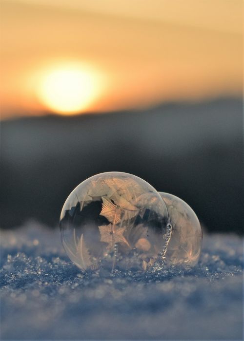 soap bubbles frozen frozen bubble