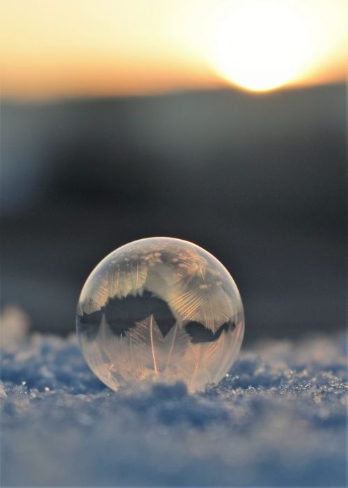 soap bubbles frozen frozen bubble