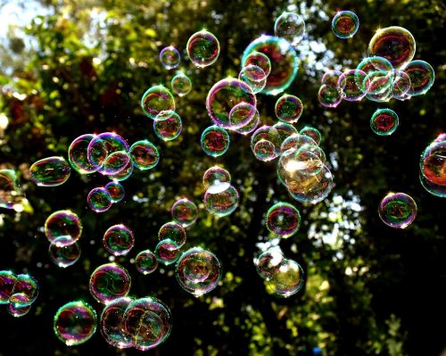 soap bubbles colorful fly