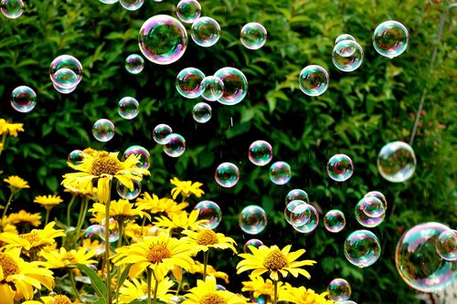 soap bubbles  colorful  flowers