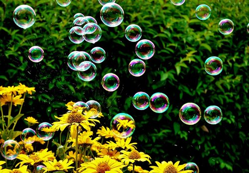 soap bubbles  colorful  summer