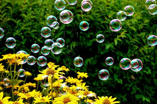 soap bubbles  colorful  summer