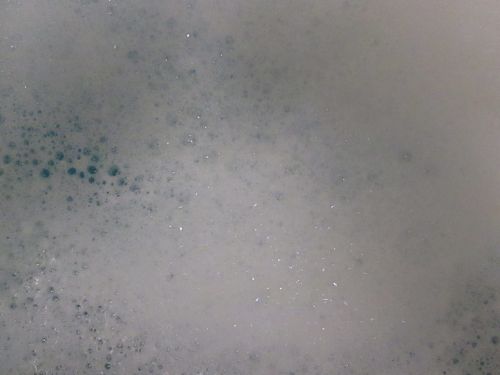 Soap Bubbles V