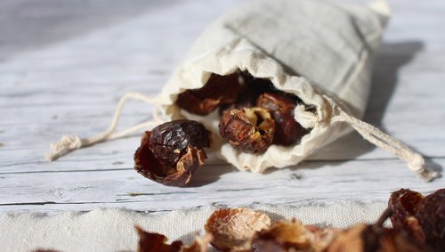 soap nuts  wash  soap