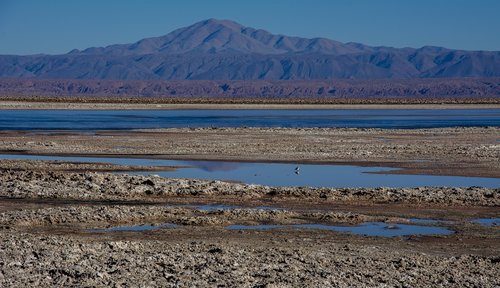 socaire  desert  chile