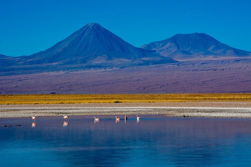 socaire  desert  chile