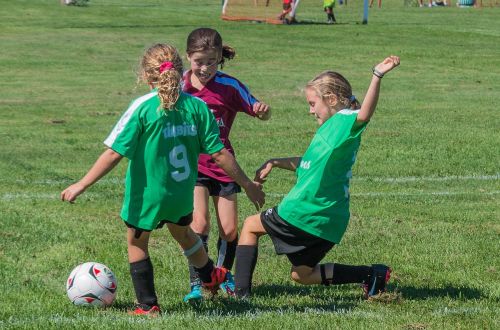 soccer summer sport