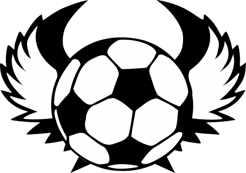 soccer ball wings