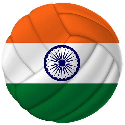 soccer ball  basketball ball  india