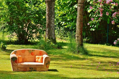 sofa couch nature
