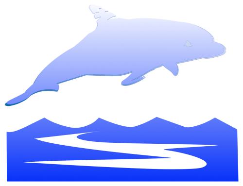 soft dolphin sea