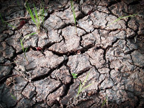 soil rough earth