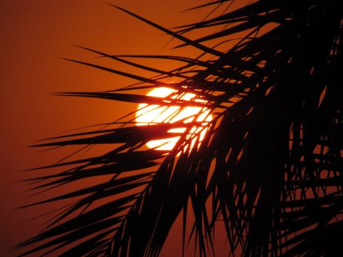 solar in the evening light